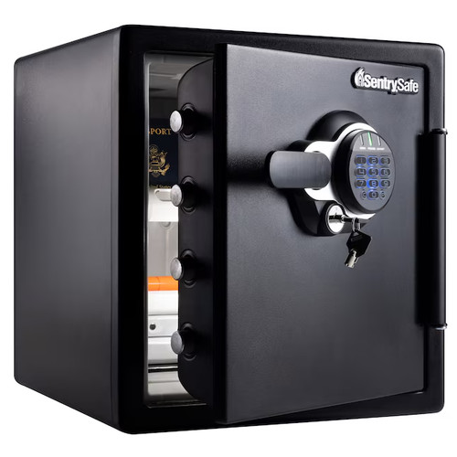 Sentrysafe ft fire - sentrysafe,